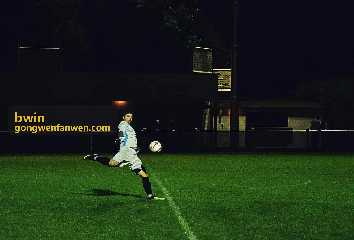 bwin 公文范文库
