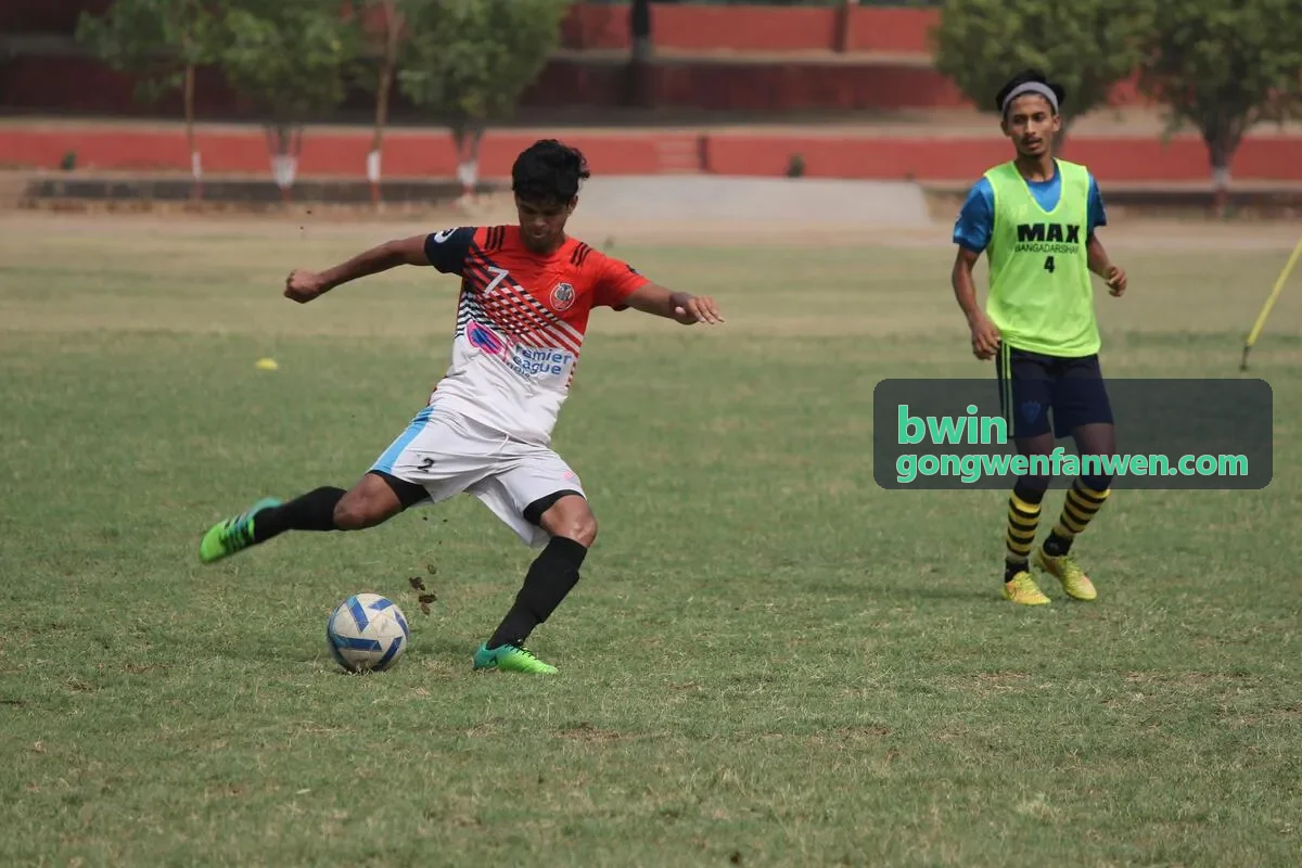 bwin 模板定制服务